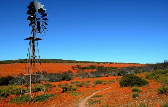 0 Bedroom Property for Sale in Hondeklip Bay Northern Cape